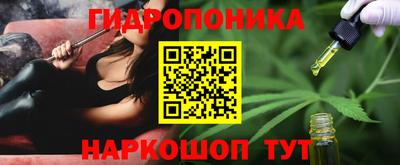 молекула духа Долгопрудный