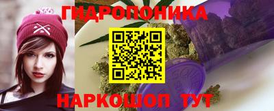 молекула духа Долгопрудный